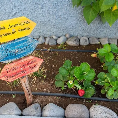 Pearl - Rural Experience By Seapearl