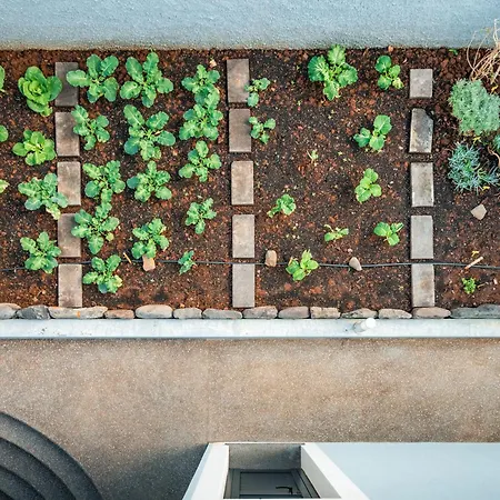 Pearl - Rural Experience By Seapearl Дом отдыха