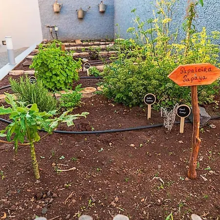 Pearl - Rural Experience By Seapearl