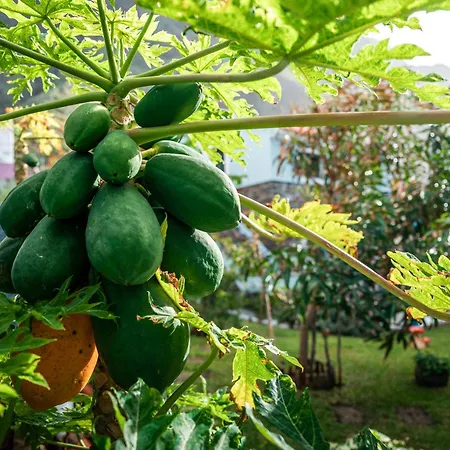 Semesterbostad Pearl - Rural Experience By Seapearl