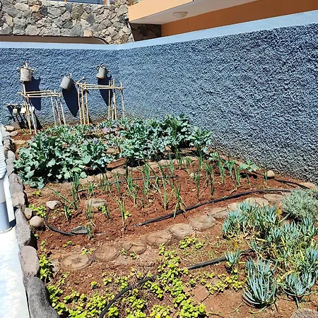 Pearl - Rural Experience By Seapearl * Paul do Mar (Madeira)