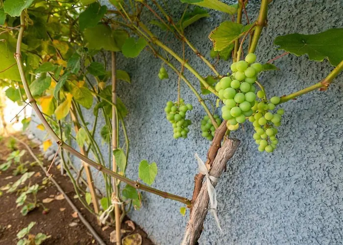 Pearl - Rural Experience By Seapearl בית נופש