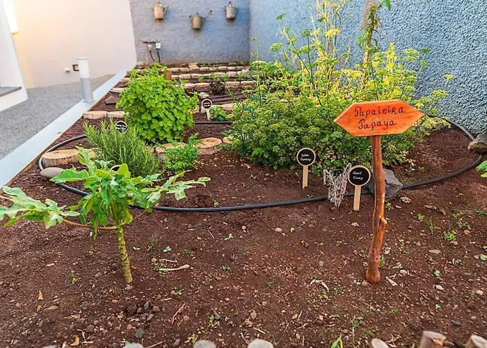 Pearl - Rural Experience By Seapearl