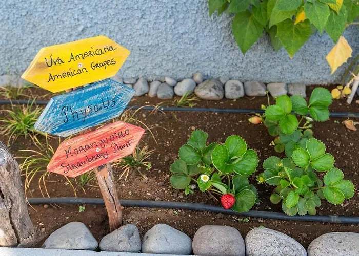 Pearl - Rural Experience By Seapearl