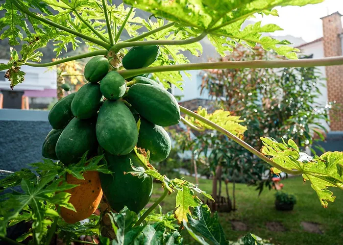 בית נופש Pearl - Rural Experience By Seapearl