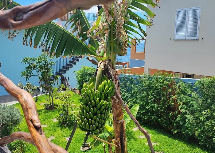 Pearl - Rural Experience By Seapearl בית נופש *