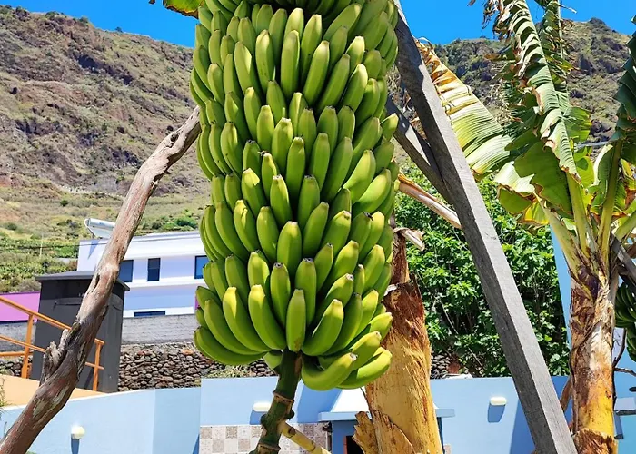 Pearl - Rural Experience By Seapearl