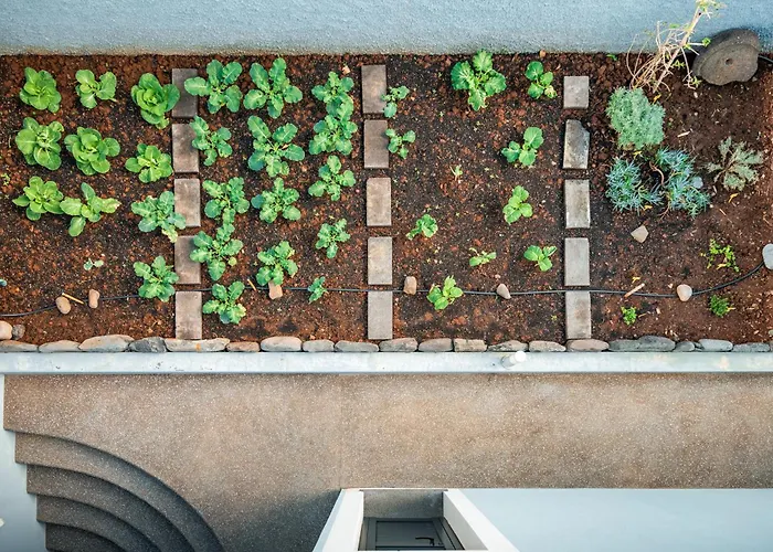 Pearl - Rural Experience By Seapearl בית נופש