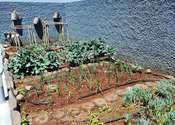 Pearl - Rural Experience By Seapearl * פול דו מאר